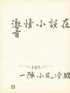 激情小说在线观看