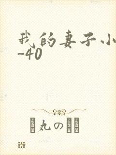 我的妻子小谨1-40