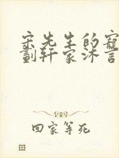 宋先生的宠妻计划轩家沐言