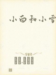 小白和小雪