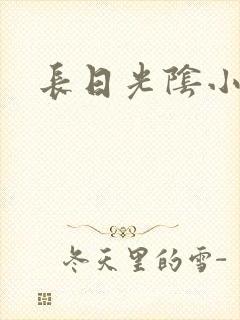 长日光阴小说
