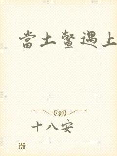 当土鳖遇上海龟