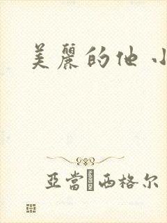 美丽的他 小说
