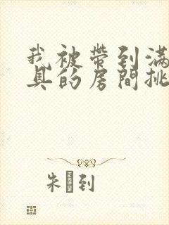 我被带到满是玩具的房间挑调作文