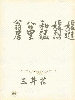 翁公和媛媛在厨房里猛烈进出