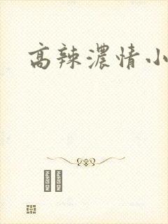 高辣浓情小说