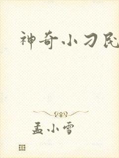 神奇小刁民