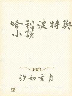 哈利波特与密室小说