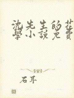 沈先生的花式教学小说免费