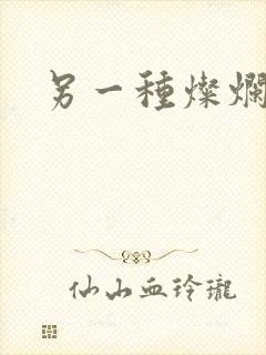 另一种灿烂生活