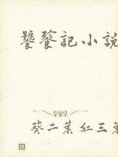 饕餮记小说