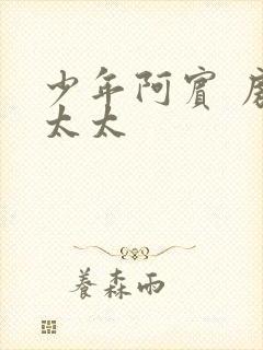 少年阿宾 房东太太