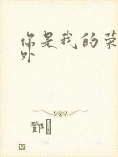 你是我的荣耀番外