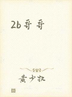 2b哥哥