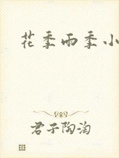 花季雨季小说