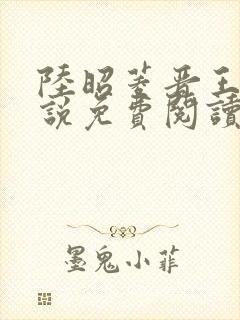 陆昭菱晋王的小说免费阅读