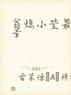 翁熄小莹最新节章