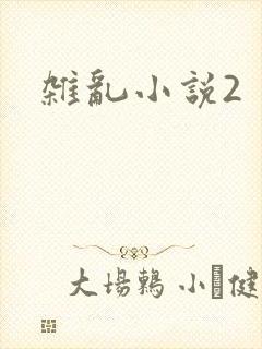杂乱小说2