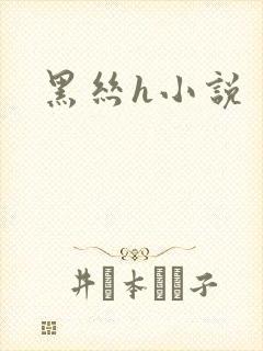 黑丝h小说