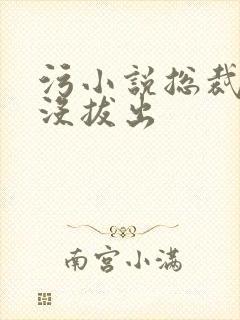 污小说总裁整夜没拔出