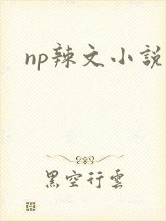 np辣文小说