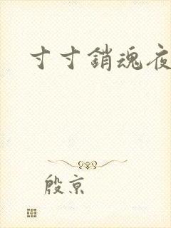 寸寸销魂夜春光