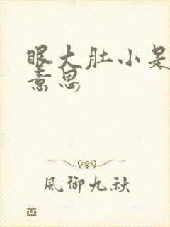 眼大肚小是什么意思