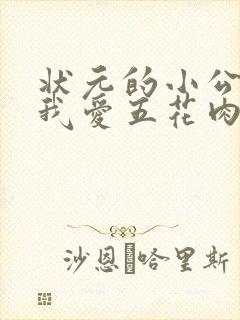 状元的小公主(我爱五花肉)