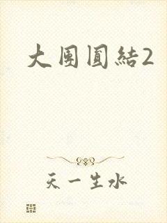 大团圆结2