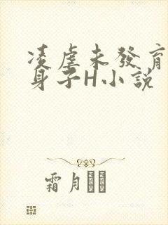 凌虐未发育的小身子H小说