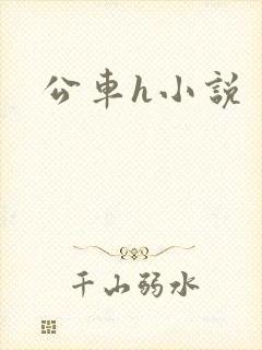 公车h小说