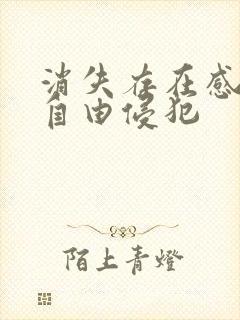 消失存在感消失自由侵犯