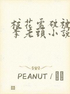 校花处破被灌满李老头小说