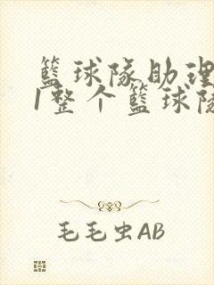 篮球队助理hv1整个篮球队