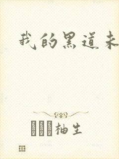 我的黑道未婚夫