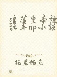 浪荡皇帝被多人玩弄np小说