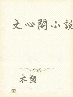 文心阁小说