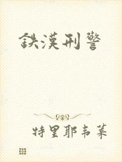 铁汉刑警