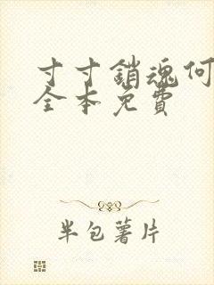 寸寸销魂何生祥全本免费