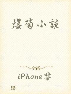 爆菊小说