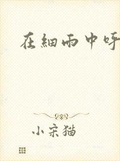 在细雨中呼喊