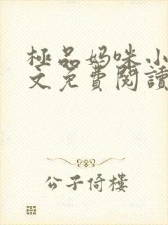 极品妈咪小说全文免费阅读