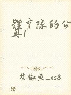 体育队的公用玩具1