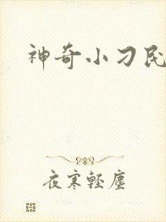神奇小刁民