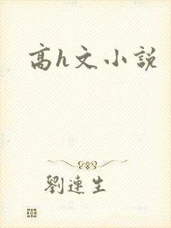 高h文小说