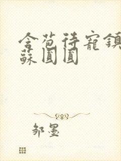 含苞待宠镇国公苏圆圆