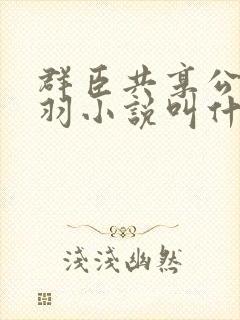 群臣共享公主银羽小说叫什么