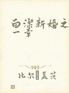 白洁新婚之夜第一章