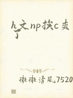 h文np挨c爽了