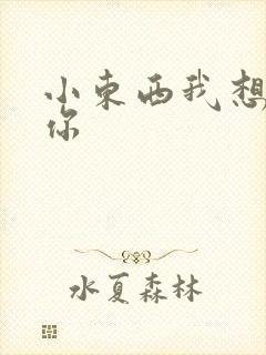 小东西我想弄坏你